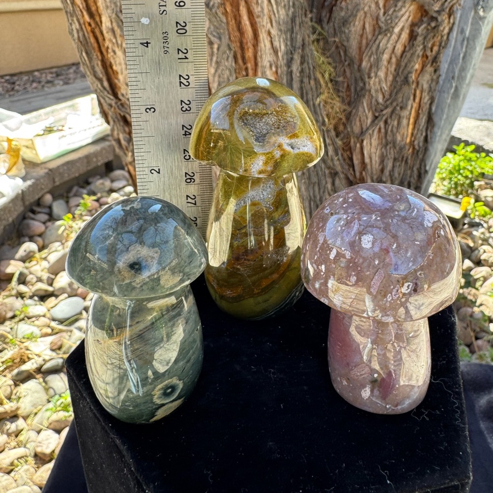 Polished Gemstone Mushroom Sculptures - Trio - Picture 3 of 5